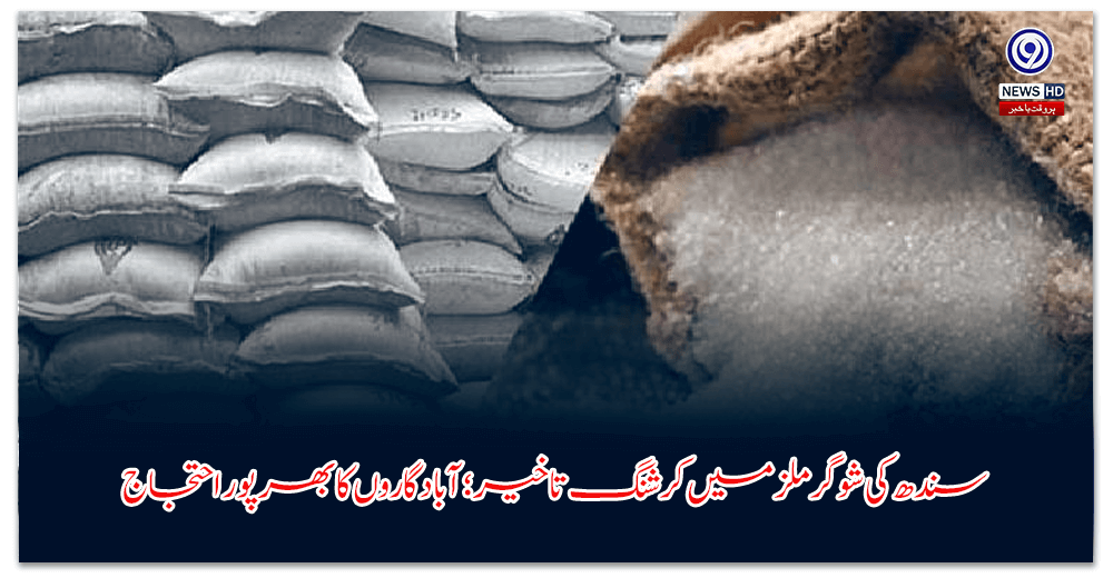 سندھ-کی-شوگر-ملز-میں-کرشنگ-تاخیر؛-آبادگاروں-کا-بھرپور-احتجاج