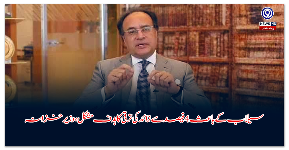 سیلاب-کے-باعث-فیصد-سے-زائد-کی-ترقی-کا-ہدف-مشکل،-وزیر-خزانہ