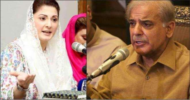 مسلم-لیگ-ن-میں-گروہ-بندی-،-ارکان-اسمبلی-اور-عہدیداروں-نے-کنارہ-کشی-پر-غور-شروع-کر-دیا-کئی-ارکان-اسمبلی-اور-سینیٹرز-نے-بیرون-ملک-جانے-کا-پروگرام-بھی-بنا-لیا