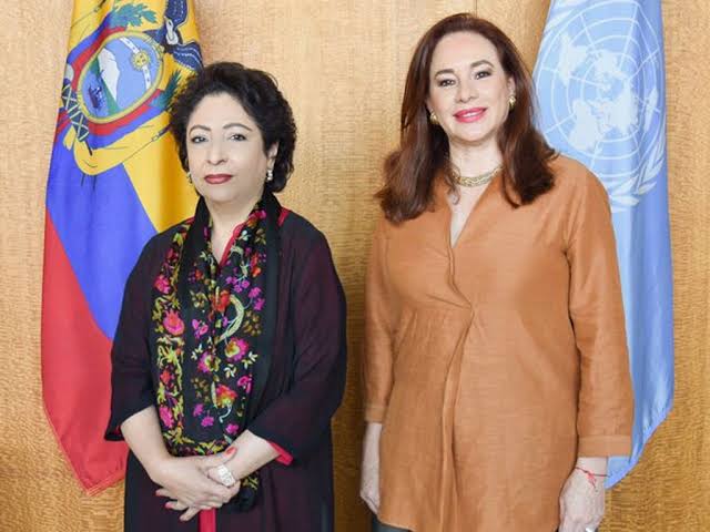 بھارت-کے-غاصبانہ-تسلط-نے-مقبوضہ-کشمیر-کو-اندھیروں-میں-دھکیل-دیا-ہے.-ڈاکٹر-ملیحہ-لودھی