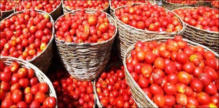 ایران-سے-درآمد-کے-باوجود-ٹماٹر-سستا-نہ-ہو-سکا