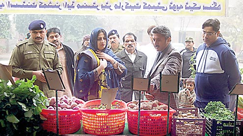 محب-وطن-کرسچن-کمیونٹی-کا-کردار-کسی-صورت-فراموش-نہیں-کیا-جاسکتا-:آمنہ-منیر