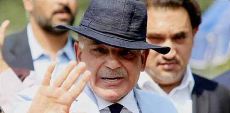 شہباز-شریف-کے-دور-میں-59-ارب-روپے-کی-ایک-اور-بدعنوانی-کا-انکشاف