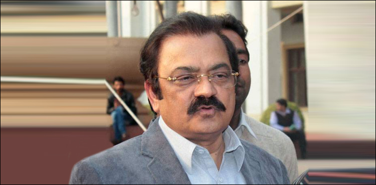 مسلم-لیگ-ن-کے-رہنما-رانا-ثنا-اللہ-نیب-کے-سامنے-پیش