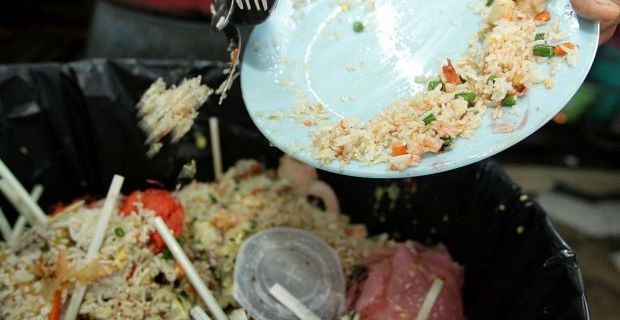 ڈسپوزل-آف-ایکسیس-فوڈ-ریگولیشن-2019منظور