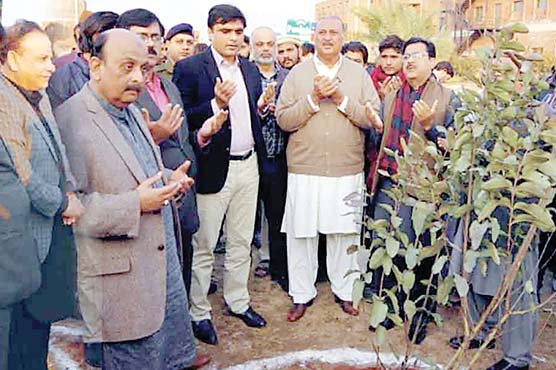 ماحولیاتی-تحفظ-کیلئے-زیادہ-سے-زیادہ-درخت-لگانا-ضروری-:ڈپٹی-کمشنر