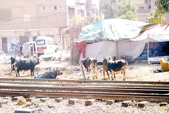 سرکلر-ریلوے-کی-بحالی,10-روز-میں-ایک-زیر-تعمیر-عمارت-منہدم,بیشتر-مقامات-پر-تجاوزات-برقرار