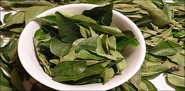 کیا-آپ-کڑی-پتے-کے-ان-فوائد-سے-آگاہ-ہیں؟