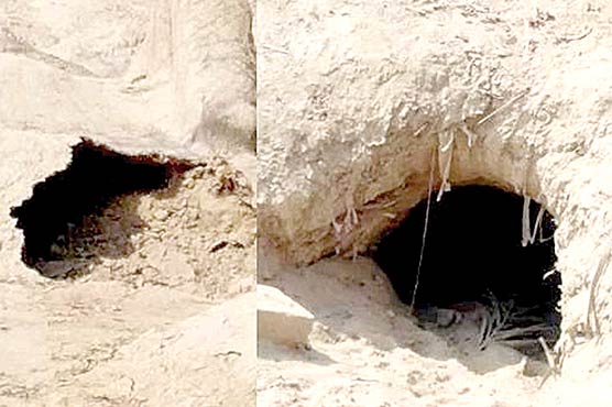 قدیمی-قبرستان-میں-خونخوار-درندے-نے-قبروں-کو-ادھیڑ-کر-رکھ-دیا