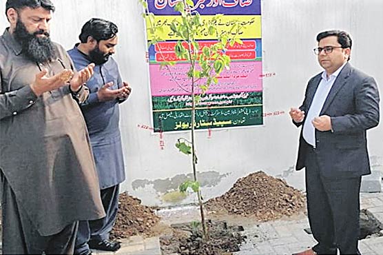 سیکرٹری-آر-ٹی-اے-نے-پبلک-ٹرانسپورٹ-سٹینڈز-میں-پودے-لگائے