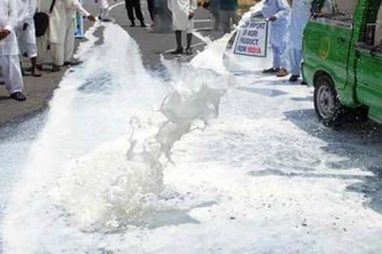 36ہزارلٹرمضرصحت-دودھ-تلف:گندے-پانی-سے-کاشت-92کنال-سبزیاں-بھی-ضائع