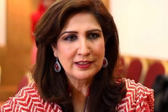 محکمہ-ترقی-نسواں-خواتین-کی-بہبود-کیلئے-اقدامات-کر-رہا-ہے-،شہلا-رضا