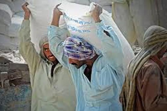 آٹا-فراہمی-کے-25-پوائنٹ-بھی-ناکافی،قلت-کی-شکایات-برقرار