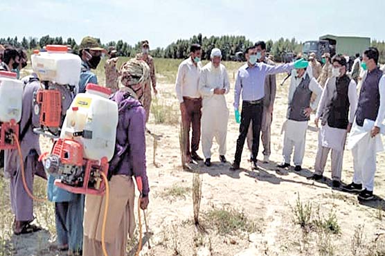 ٹڈی-دل-کے-حملے-کے-بعد-کی-صورتحال-کا-جائزہ-لینے-کیلئے-سروے