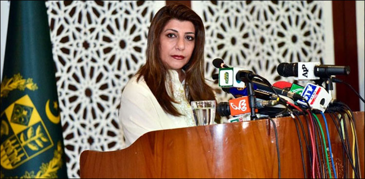 پاکستان-کا-مقبوضہ-کشمیرمیں-صحافیوں-کیخلاف-کارروائیوں-پر-اظہار-تشویش