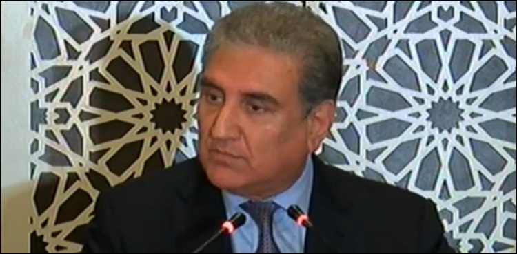 عالمی-برادری-کو-بھارت-کے-منافرت-پر-مبنی-رویےکی-سرزنش-کرنی-چاہیے،شاہ-محمود-قریشی