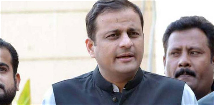 سندھ-میں-خواتین-میں-کرونا-وائرس-کی-شرح-بڑھ-رہی-ہے:-مرتضیٰ-وہاب
