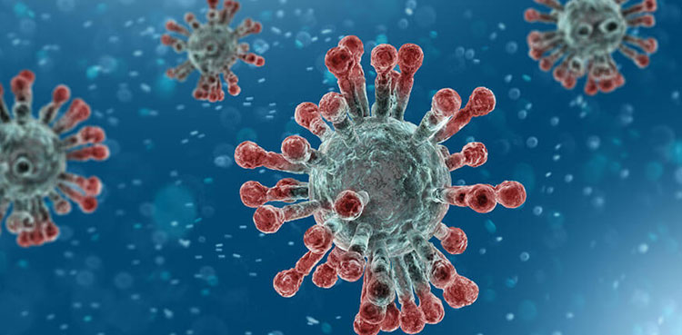 سندھ-میں-24-گھنٹے-کے-دوران-کرونا-سے-مزید-16-اموات