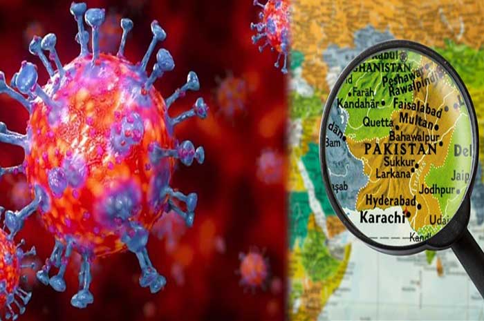 ملک-میں-کورونا-سے-مزید-74-ہلاکتیں-،-3ہزار138-نئےکیسز-رپورٹ