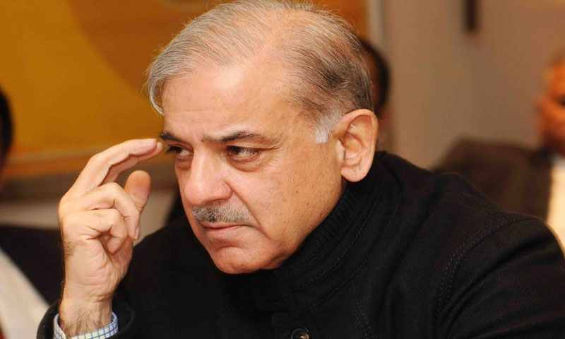 شہباز-فیملی-کے-اثاثوں-کی-تفصیلات-سامنے-آ-گئیں
