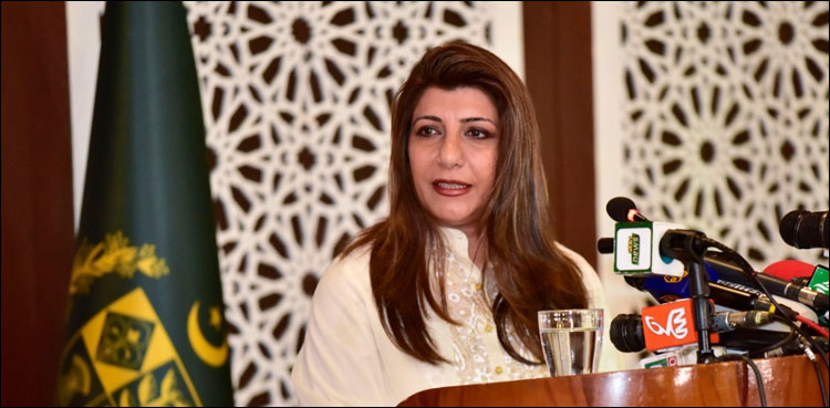 بھارت-اقلیتوں-کے-خلاف-کارروائیاں-کر-رہا-ہے:-دفتر-خارجہ