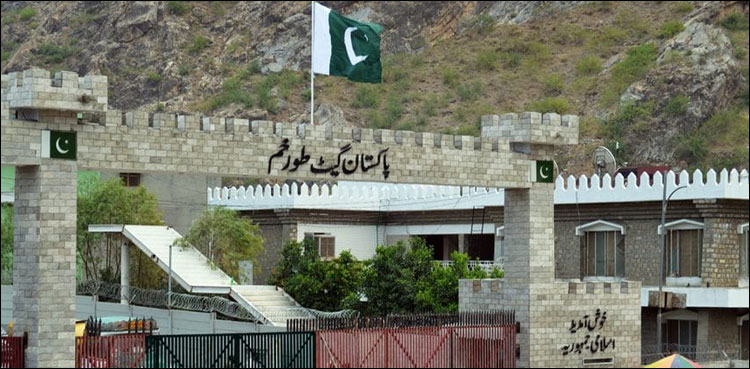 طورخم-اور-چمن-بارڈر-کھولنے-کا-فیصلہ،-افغان-سفیر-کا-حکومتِ-پاکستان-کا-شکریہ