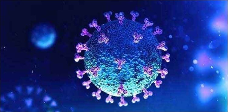 پاکستان-میں-کرونا-سے-روزانہ-اموات-کی-شرح-بڑھ-گئی،-مزید-78-جاں-بحق