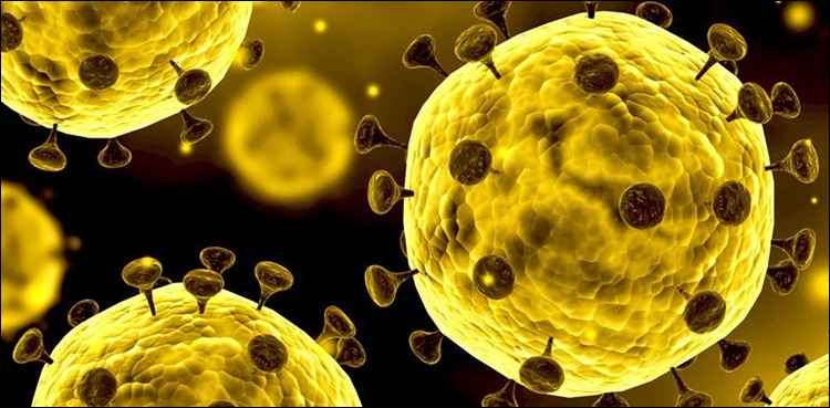 پاکستان-کرونا-کیسز-کے-لحاظ-سے-17-واں-ملک-بن-گیا،-1838-جاں-بحق