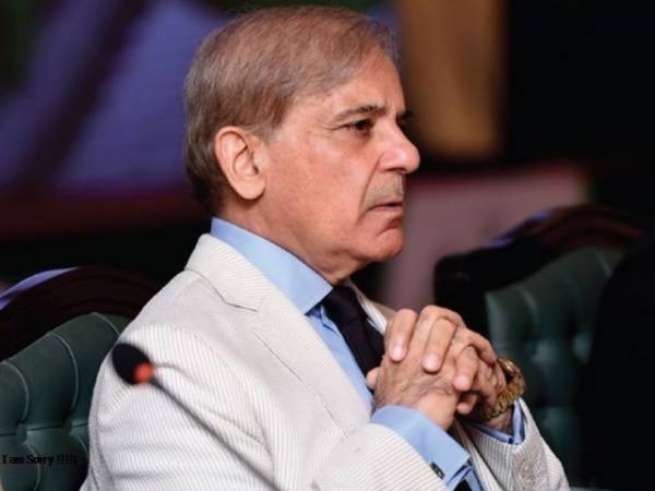 پٹرولیم-کی-قیمتوں-اضافہ-مسترد،-فیصل-واپس-لینے-کا-مطالبہ،شہباز-شریف-میدان-میں-آگئے