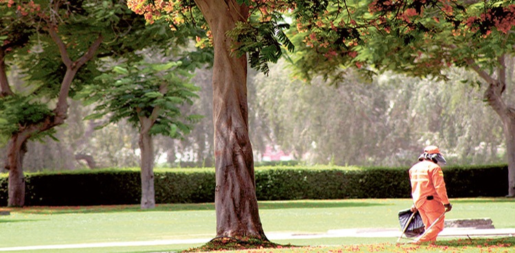 پنجاب-میں-آج-سے-پبلک-پارکس-کھولنے-کا-اعلان