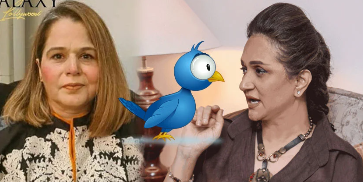 پاکستانی-ڈراموں-پر-تنقید-کرنیوالوں-کو-’’کرونا‘‘کہنے-پر-بشریٰ-انصاری-تنقید-کی-زد-میں