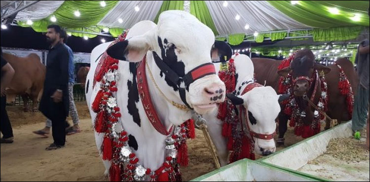عیدالاضحیٰ-پر-کتنے-دن-کی-چھٹیاں-ہوں-گی؟-اعلان-ہوگیا