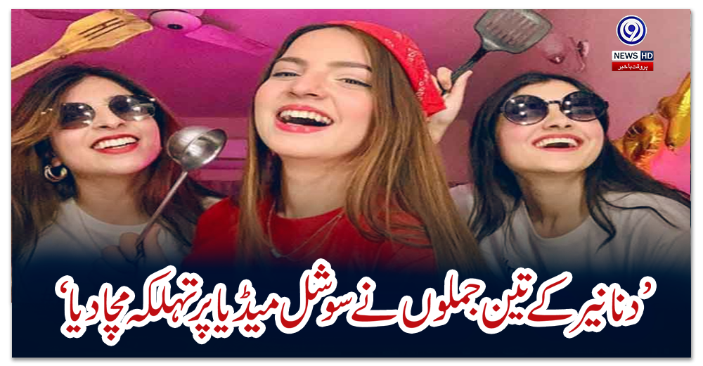 ’دنانیر-کے-تین-جملوں-نے-سوشل-میڈیا-پر-تہلکہ-مچا-دیا‘