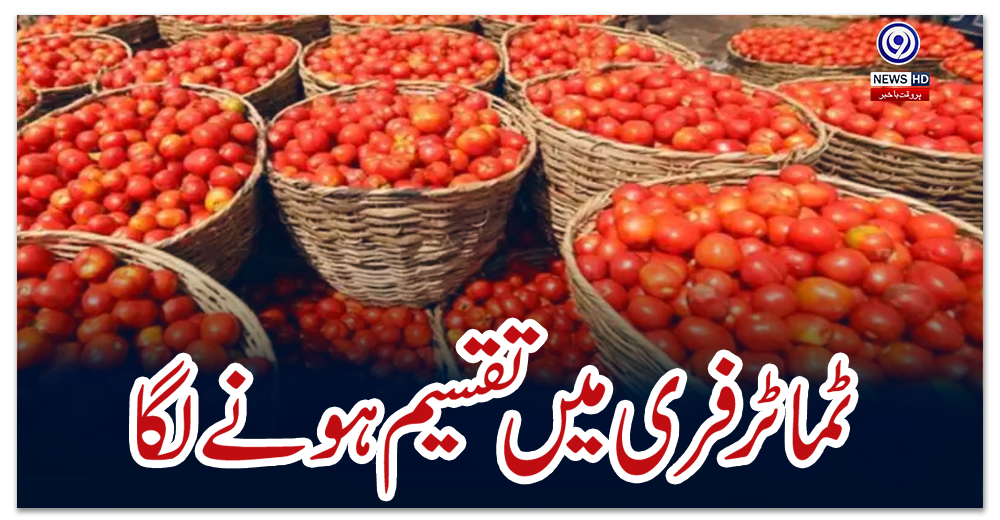 ٹماٹر-فری-میں-تقسیم-ہونے-لگا