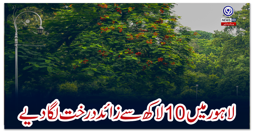 ‘لاہور-میں10لاکھ-سے-زائد-درخت-لگا-دیے’