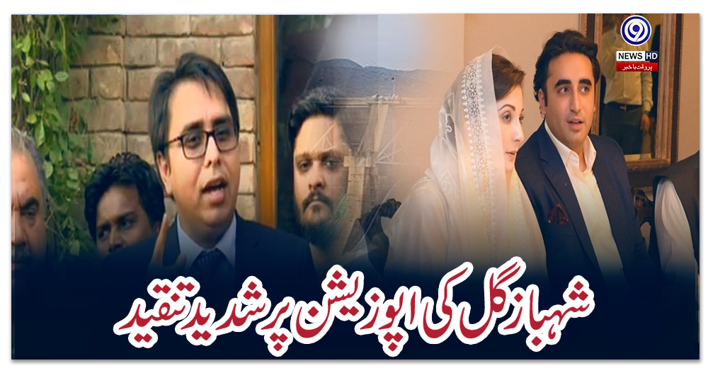 تین-خاندانوں-کیلئے-سینیٹ-الیکشن-پیسہ-بنانے-کا-سیزن-ہے،-شہبازگل-کی-تنقید