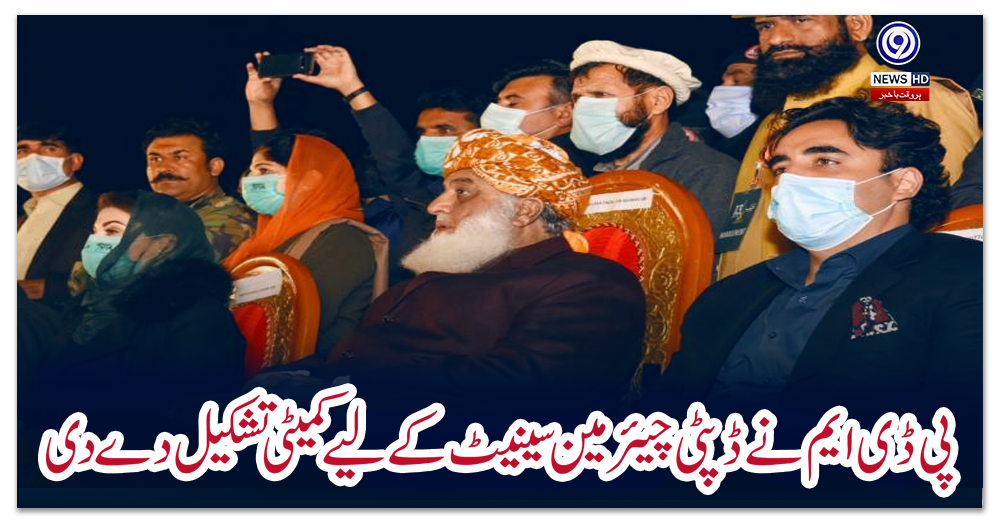 پی-ڈی-ایم-نے-ڈپٹی-چیئرمین-سینیٹ-کے-لیے-کمیٹی-تشکیل-دے-دی