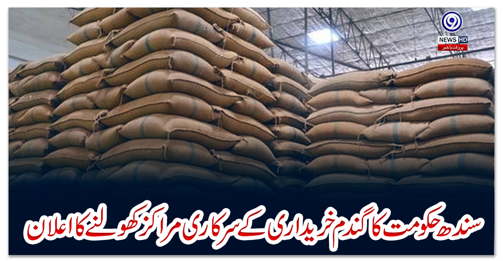 سندھ-حکومت-کا-گندم-خریداری-کے-سرکاری-مراکز-کھولنے-کا-اعلان