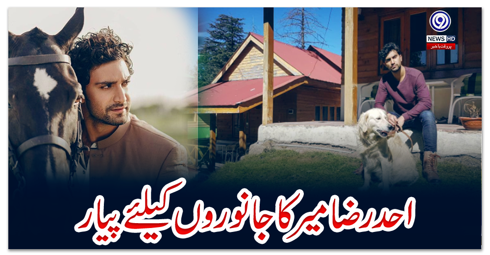 احد-رضا-میر-کا-جانوروں-کیلئے-پیار