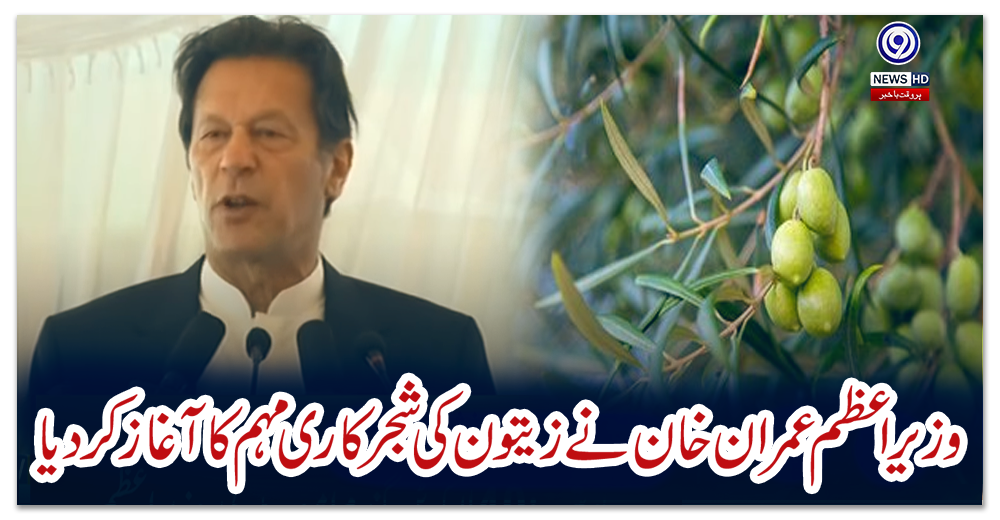 وزیراعظم-عمران-خان-نے-زیتون-کی-شجرکاری-مہم-کا-آغاز-کردیا