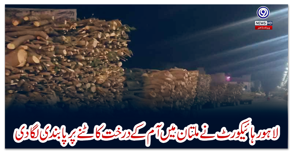 لاہور-ہائیکورٹ-نے-ملتان-میں-آم-کے-درخت-کاٹنے-پر-پابندی-لگا-دی