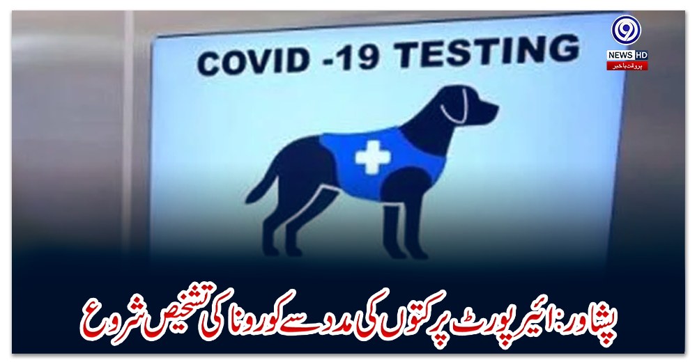 پشاور:-ائیر-پورٹ-پر-کتوں-کی-مدد-سے-کورونا-کی-تشخیص-شروع
