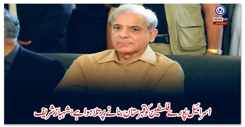 اسرائیل-پورے-فلسطین-کو-قبرستان-بنانے-پر-تلا-ہوا-ہے:-شہباز-شریف