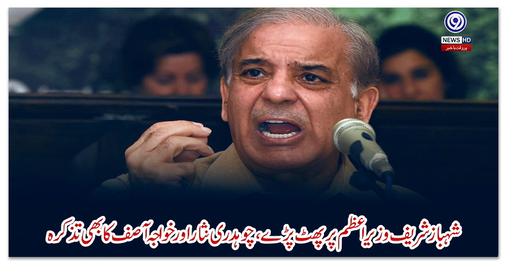 شہباز-شریف-وزیراعظم-پر-پھٹ-پڑے،-چوہدری-نثار-اور-خواجہ-آصف-کا-بھی-تذکرہ