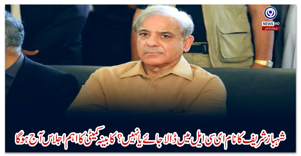 شہباز-شریف-کا-نام-ای-سی-ایل-میں-ڈالا-جائے-یا-نہیں؟-کابینہ-کمیٹی-کا-اہم-اجلاس-آج-ہوگا