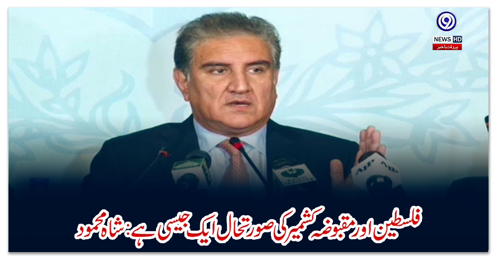 فلسطین-اور-مقبوضہ-کشمیرکی-صورتحال-ایک-جیسی-ہے:-شاہ-محمود