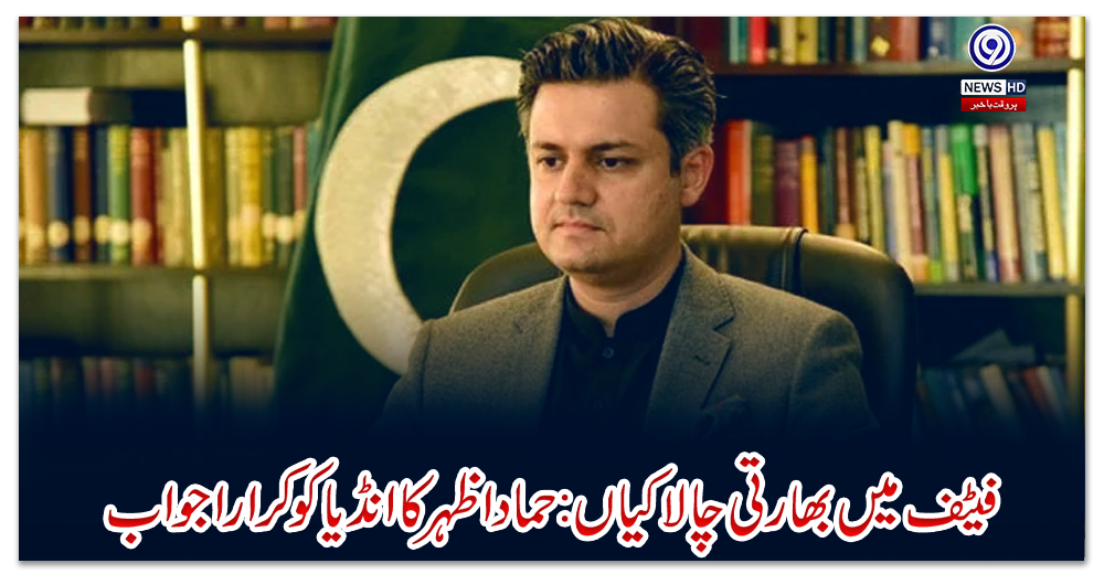 فیٹف-میں-بھارتی-چالاکیاں:-حماد-اظہر-کا-انڈیا-کو-کرارا-جواب