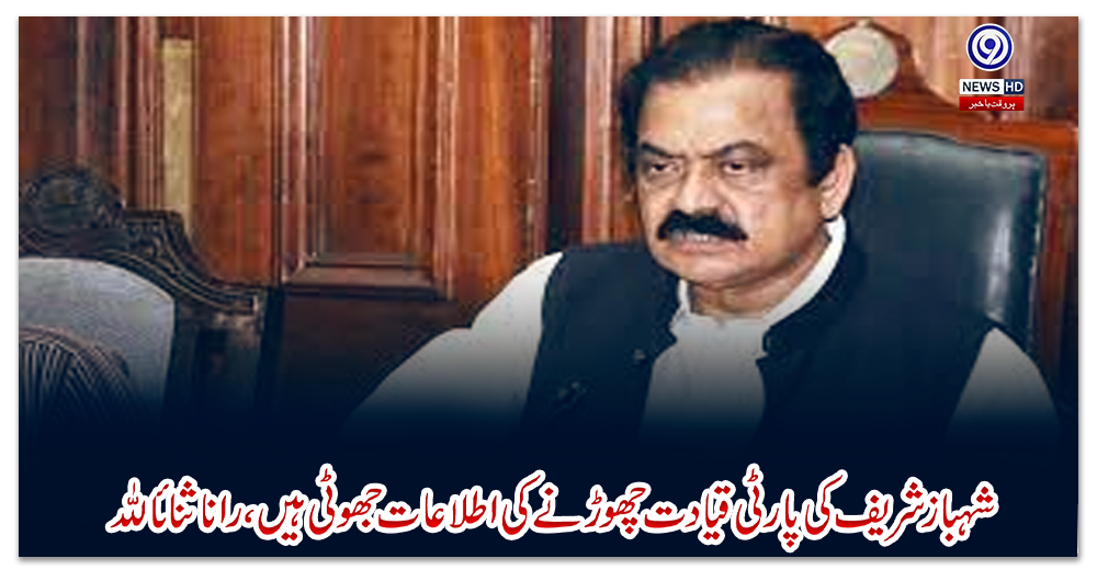 شہباز-شریف-کی-پارٹی-قیادت-چھوڑنے-کی-اطلاعات-جھوٹی-ہیں،-رانا-ثناءاللہ