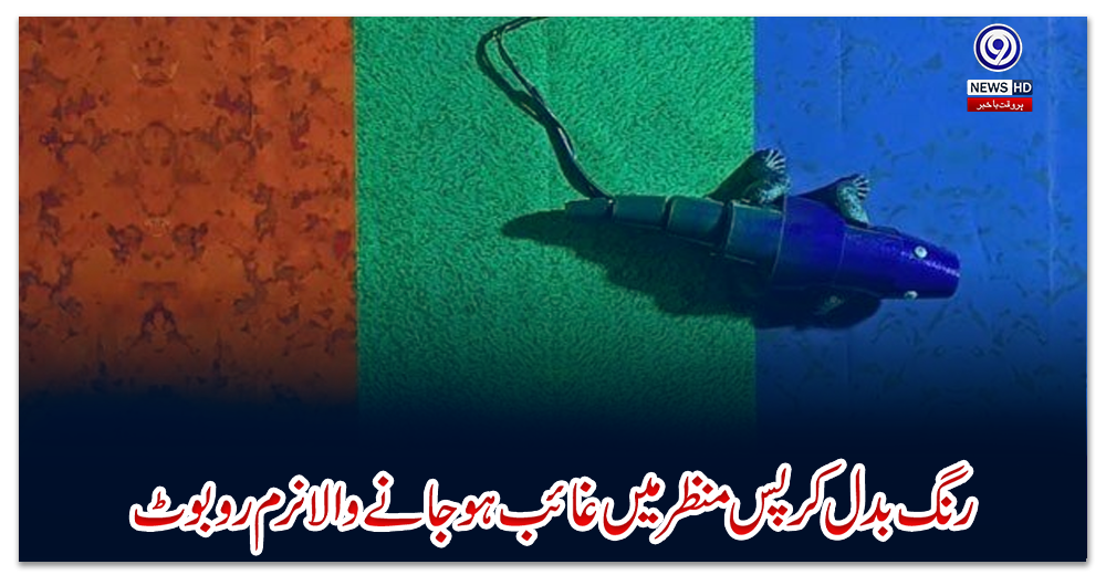 رنگ-بدل-کر-پس-منظر-میں-غائب-ہوجانے-والا-نرم-روبوٹ