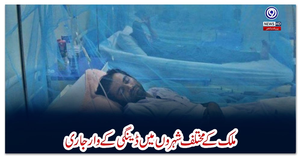 ملک-کے-مختلف-شہروں-میں-ڈینگی-کے-وار-جاری